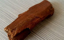堪称摇钱树的树皮除了卡宾达树皮