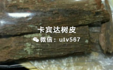 国内的树皮鱼龙混杂，买卡宾达树皮就选木鸡鸡