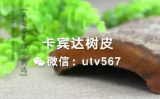 号称“男人女人都吃了床受不了＂