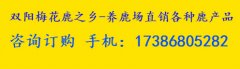 双阳鹿鞭膏对男人有补肾的疗效吗【不看后悔】