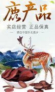 食补别粗心，吃鹿鞭膏的这些忌讳