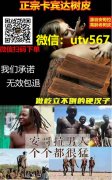 卡宾达树皮骗局的真实情况竟然是这样！网友：长知识了