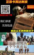 卡宾达树皮的养生的误区有哪些？