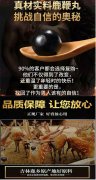 广东哪个产品的鹿鞭膏好呢【双阳原产地直发】