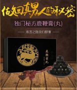 【河北邢台】鹿鞭膏是什么东西